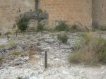 DSCN1776.JPG