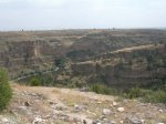DSCN1767.JPG