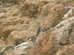 DSCN1745.JPG