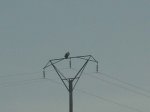 DSCN1739.JPG