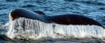 DSC_0016.jpg