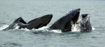 DSC_3046.jpg