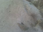 DSC00056.JPG