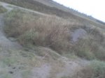 DSC00057.JPG