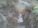 DSC00059.JPG