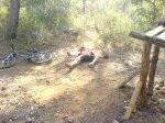DSC03077.JPG