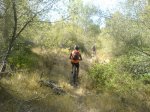 DSC03118.JPG