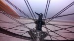 IMG-20150128-WA0031.jpg