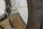zipp 2.jpg