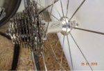 zipp 3.jpg