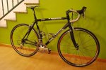 bici entera.JPG