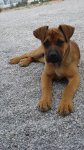 DSC01107.JPG