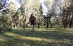 DSC04544 - copia - copia.JPG