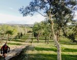 DSC04553 - copia.JPG