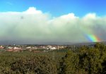 DSC04559 - copia - copia.JPG