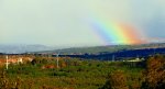 DSC04560 - copia - copia.JPG