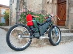 Salamandre-002-chargée-600x450.jpg