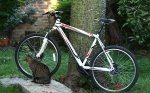 bici nueva 1.jpg
