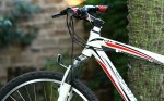 bici nueva 3.jpg