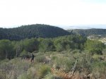 IMG_8405.JPG