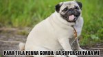 Imagen Personalizada.jpg