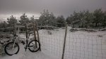 IMG-20150201-WA0006.jpeg