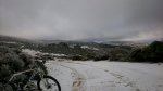 IMG-20150201-WA0001.jpeg