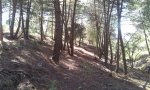 20150201_133902.jpg