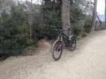 Nomad Feb 2015.jpg
