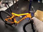 luis leao pinto bike.jpg