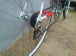 IMG-20141031-WA0016.jpg