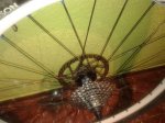 20150203_182333.jpg