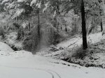20150204_105112.jpg