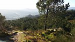 20150204_103920.jpg