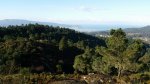 20150204_103917.jpg