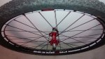 IMG_20150205_102450038.jpg