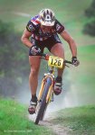 17934_338280533553_589708553_460797.jpg