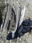 20150206_135718.jpg