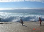 DSC01428 g.jpg