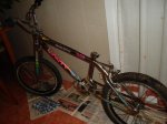DSC06195_redimensionar.JPG