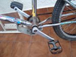 DSC06199_redimensionar.JPG