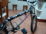 DSC06229_redimensionar.JPG