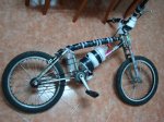 DSC06247_redimensionar.JPG