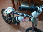 DSC06250_redimensionar.JPG