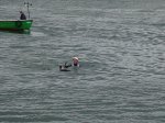 DSC06289_redimensionar.JPG