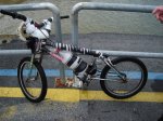 DSC06330_redimensionar.JPG