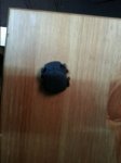 20150207_112756.jpg