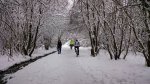 DSC_0016.JPG