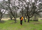 DSC04588 - copia.JPG