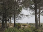 IMG_8482.JPG